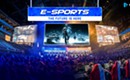 Esports in Charlotte Takes Off: A Guide to Virtual Competitions and Betting