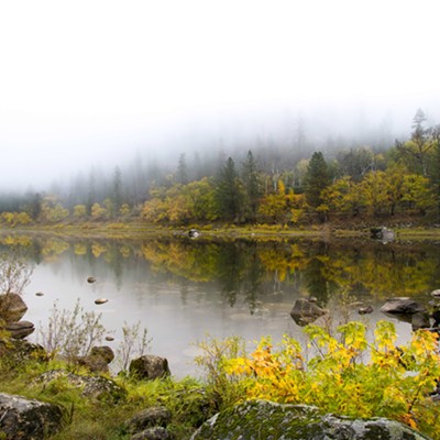 Along the Clearwater River on a foggy morning