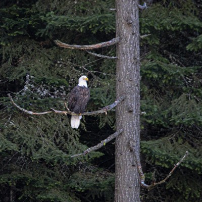 Another from Lake CDA 12/23