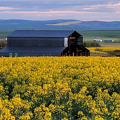 Camas prairie barn