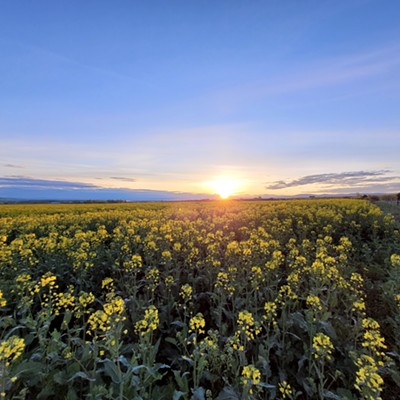 Camas prairie sunrise