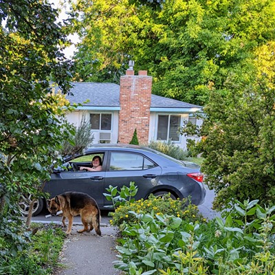 Our German Shepherd Sasha waited for our Lewiston Tribune carrier every morning to take the paper from her and bring it in for a treat.