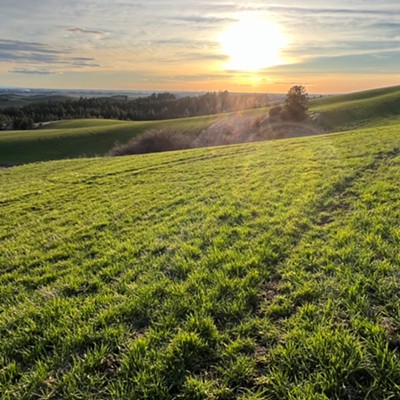 Glowing Green hills at Sundown