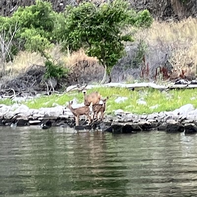 Heading down for a drink