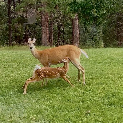 I’m hungry mom!