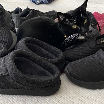 Amongst all of my dad’ black shoes snuggled my Tuxedo cat, Boo.  Can you see me?