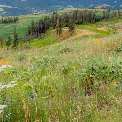 Weippe Prairie