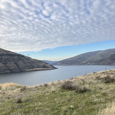 View from the loop trail at Waiwai County Park