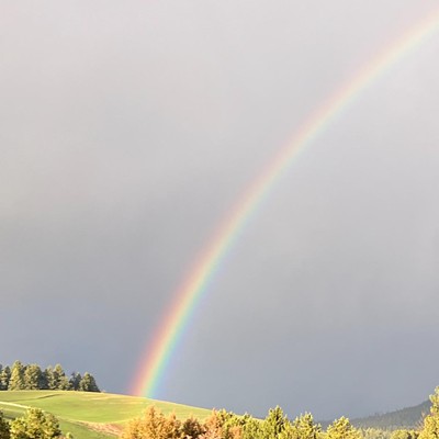 Zoey Pup chases the Rainbow