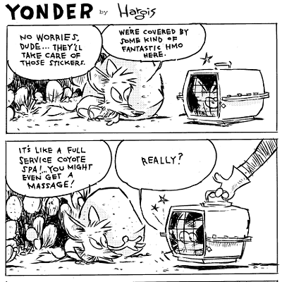 Yonder